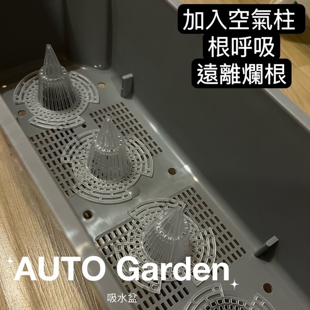 sg-11134201-22120-rcplz6va4nkvf2