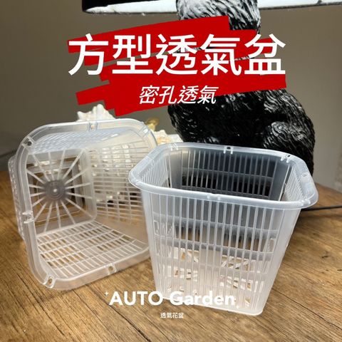 tw-11134207-7r98r-m033myvblx4745