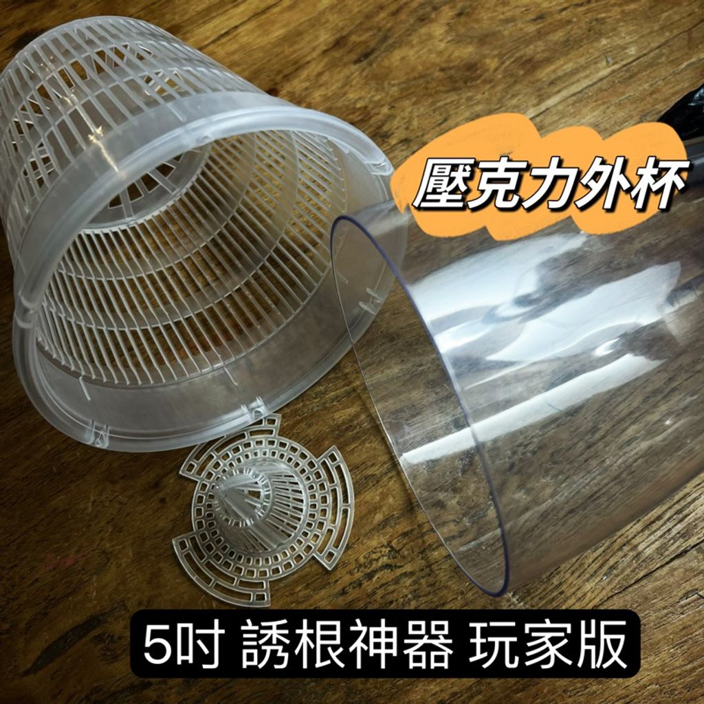 tw-11134207-23020-g8jgqe2nyynv4e