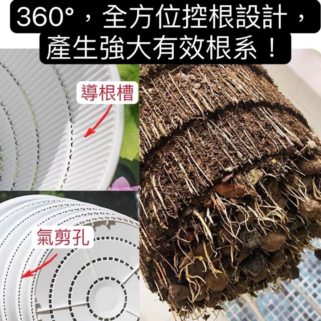 52c8ac17609f69f063880d13c45519b7