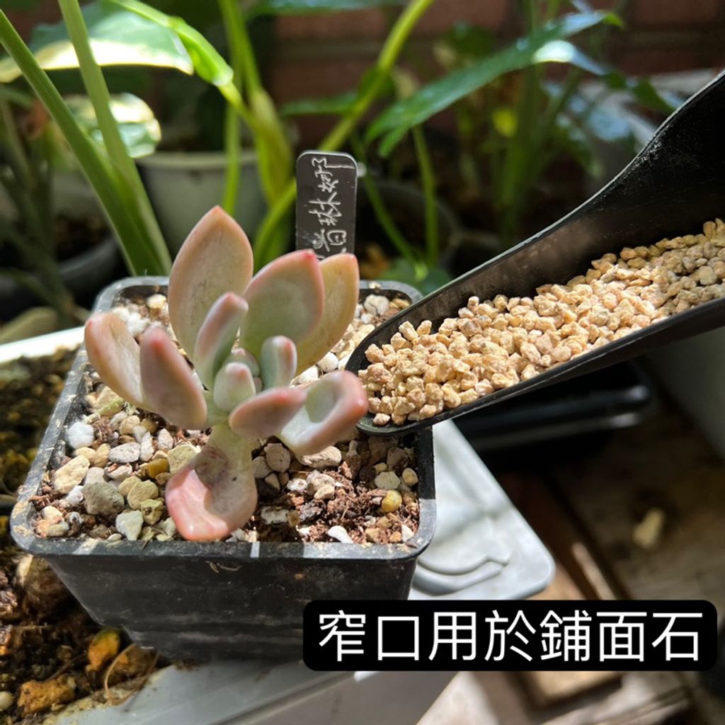 tw-11134207-7r98q-m00ek75nciid42