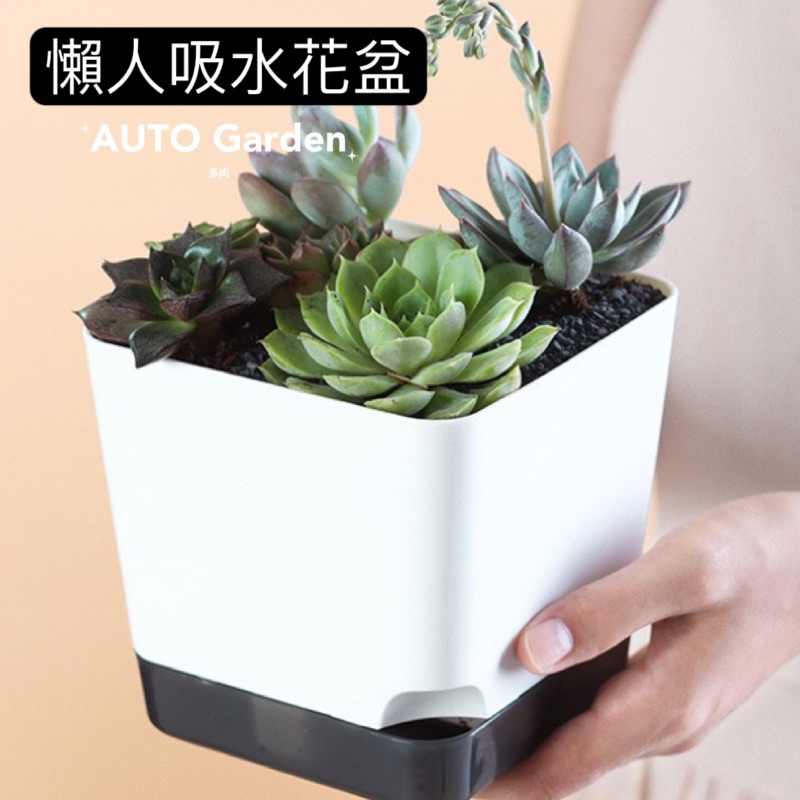 控根花盆– AUTO Garden 植物生長環境的專家