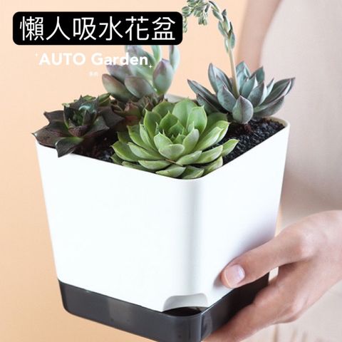 tw-11134207-7rbk2-m9ubsplcpx3m1b