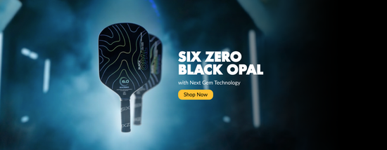  | PickleGear, a Motion Sports Trading brand