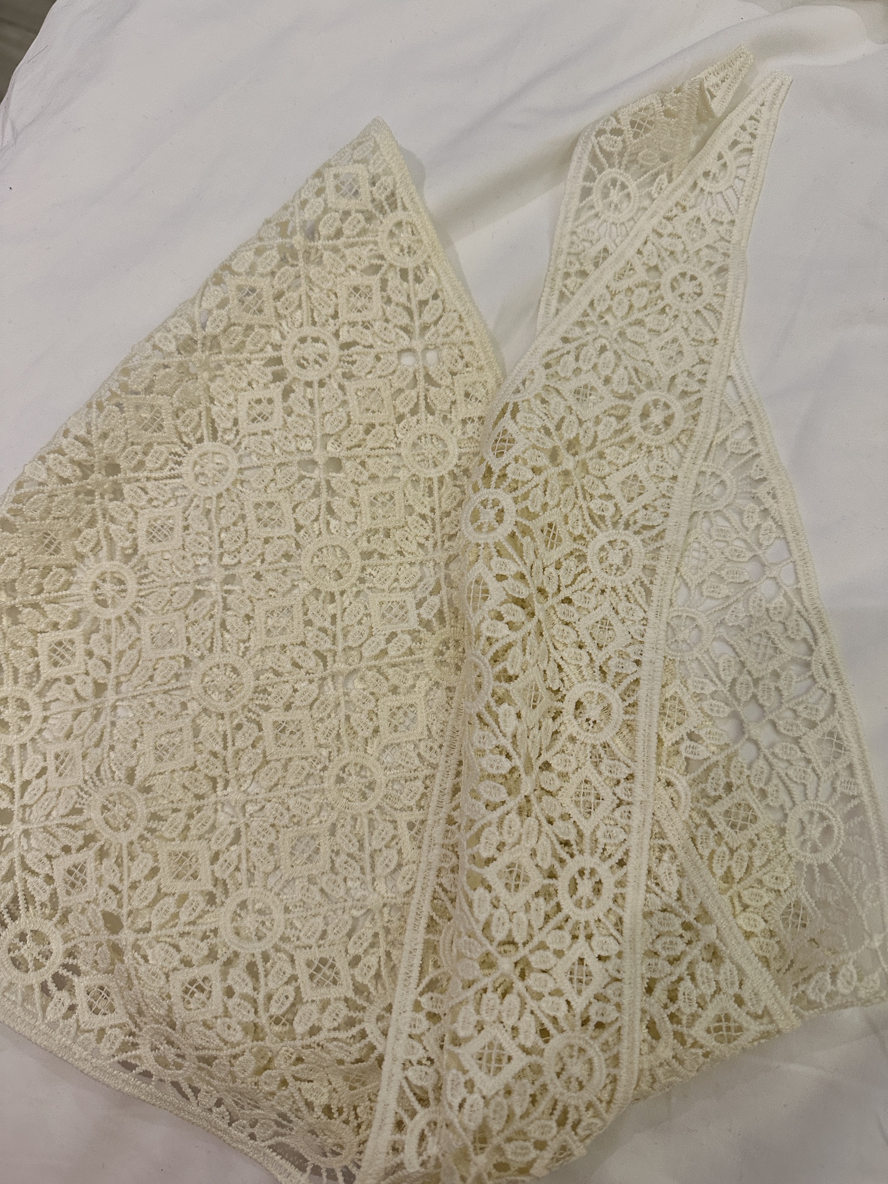 IMG_4726-1739378384424