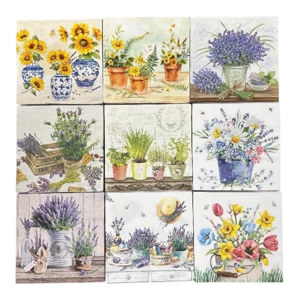 photoroom20260312135353_1je8i1k