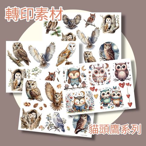 Photoroom_20260324_232125