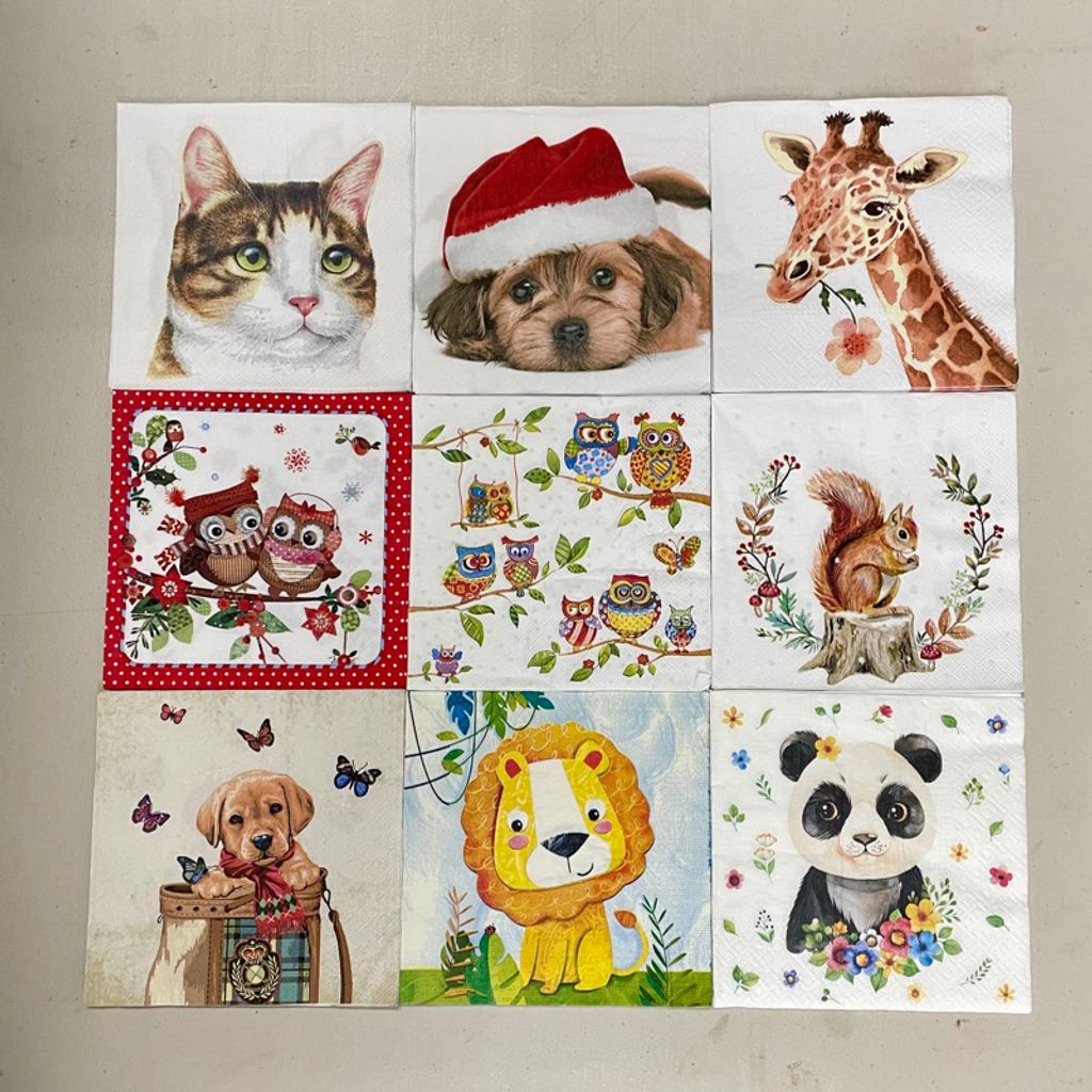 tw-11134207-7r98u-lp9lcq93auk73b