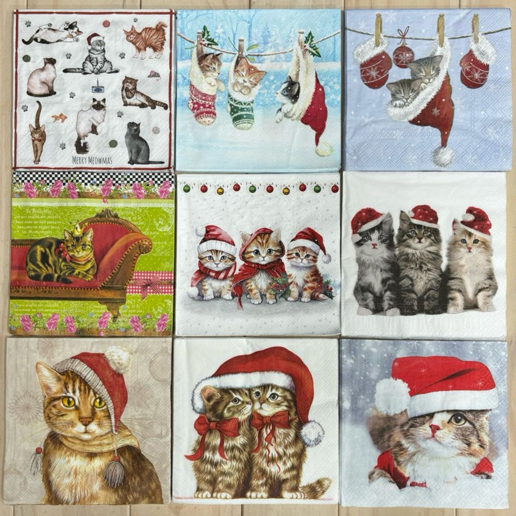 tw-11134207-7rasj-m2gsnu4mjmsa56