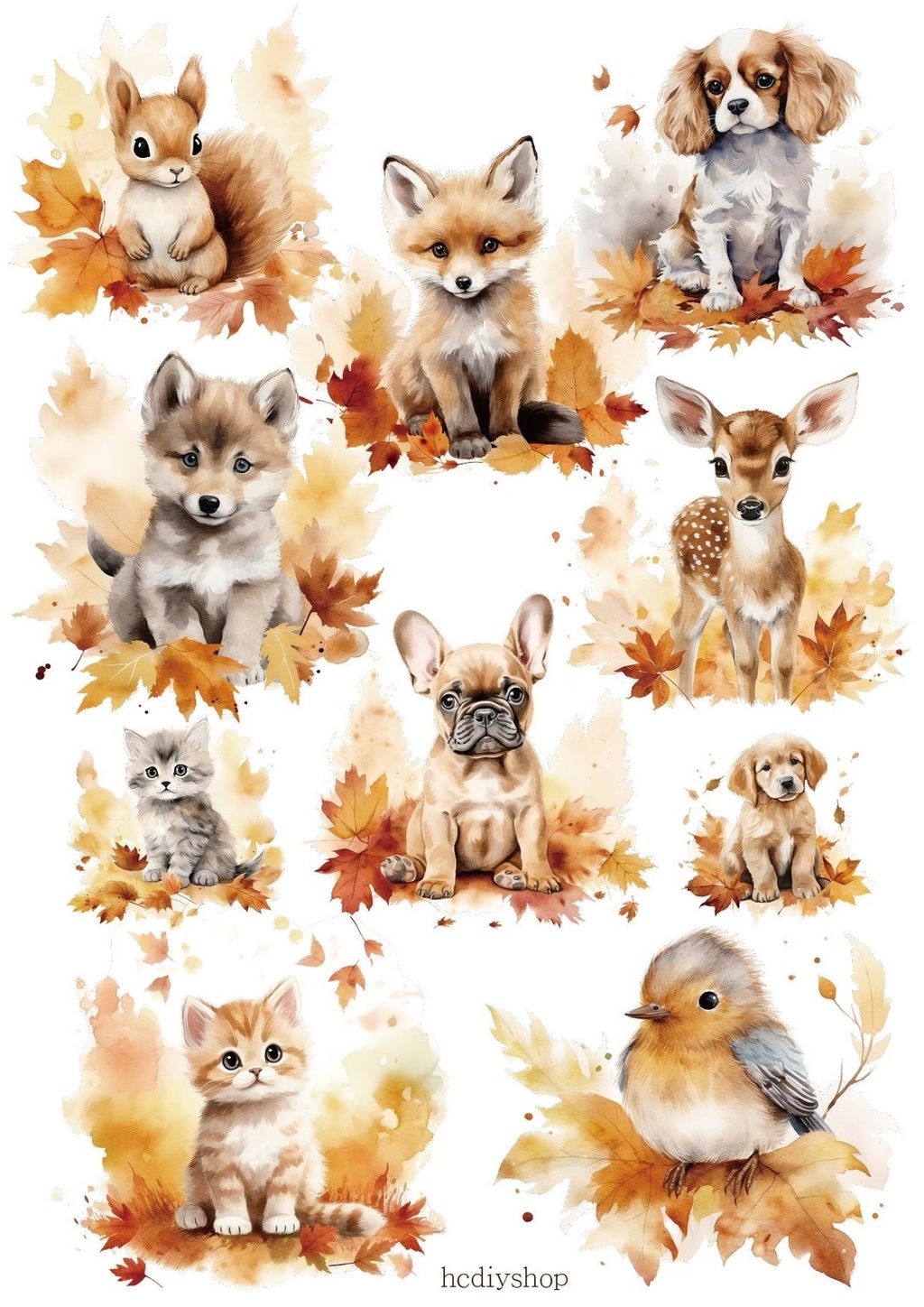 84757728-5490-4D38-989A-CDE2731F43BF