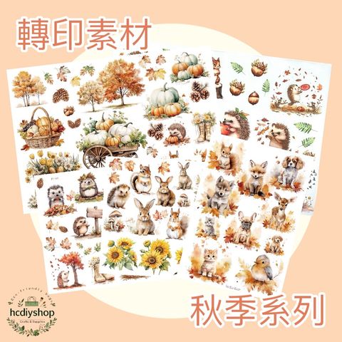 Photoroom_20251116_172116