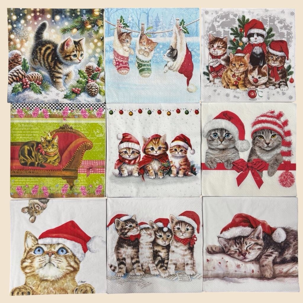 Photoroom_20251230_210648