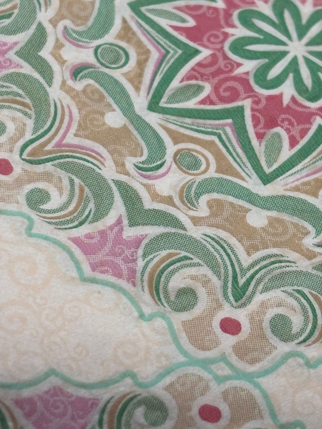 image_50C6ADE4-9435-422E-9785-AE585E9AB6FC_1768110336