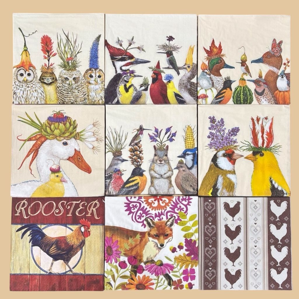 Photoroom_20260115_000446