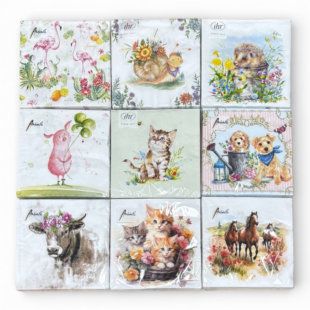 Photoroom_20260131_191714