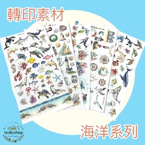 Photoroom_20260205_012744