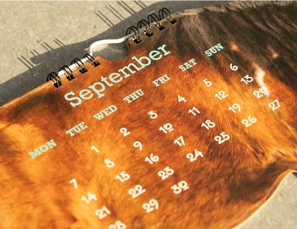 image_794CAB81-1A9D-4334-B47A-351C35DE76FA_1771838759