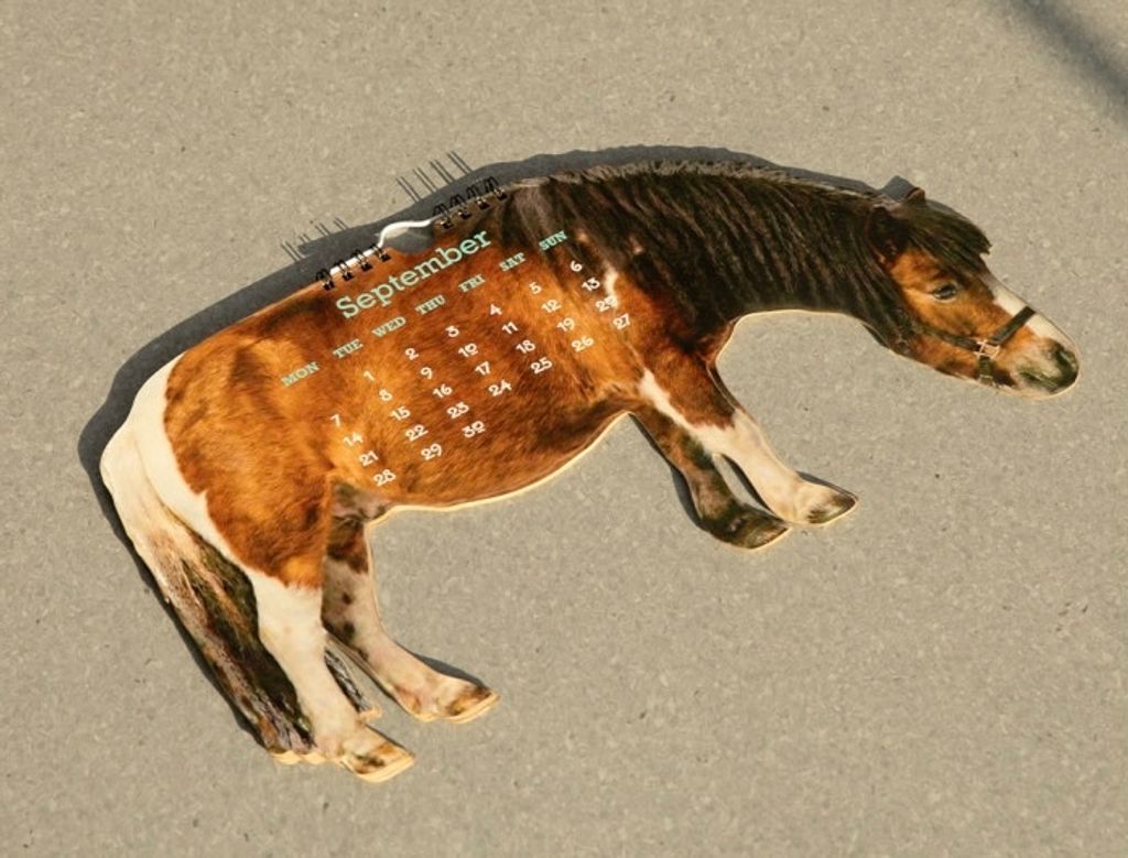 image_9AC57ED8-252A-4FBB-8A6E-48D6783500F1_1771838759