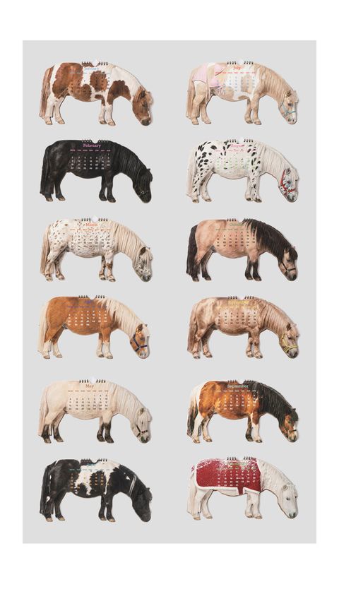 image_6209C255-851A-42AA-85E7-1C298B270613_1771838759