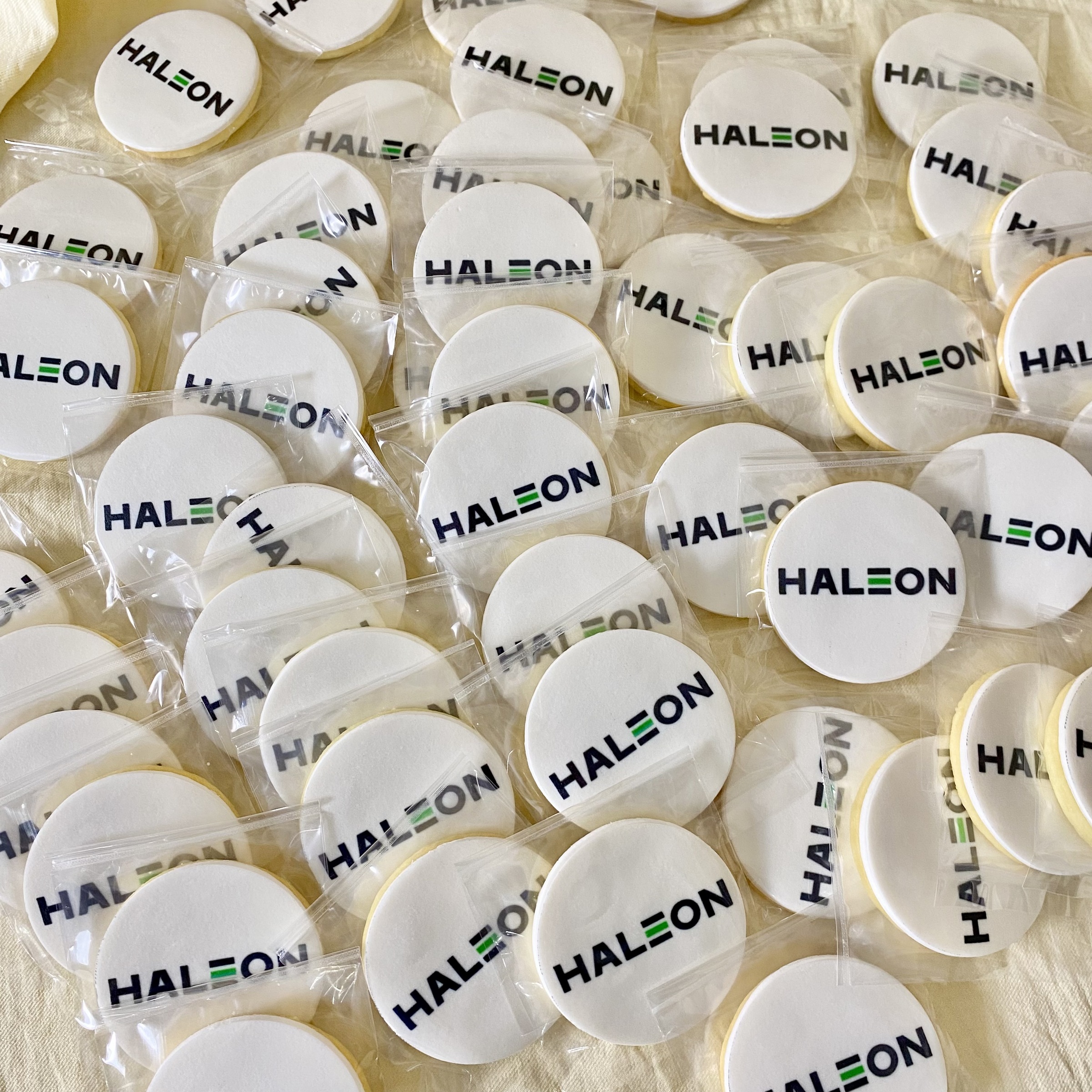 image_D87BD667-2B75-4468-B9F1-E28386E4F4BA_1741272796