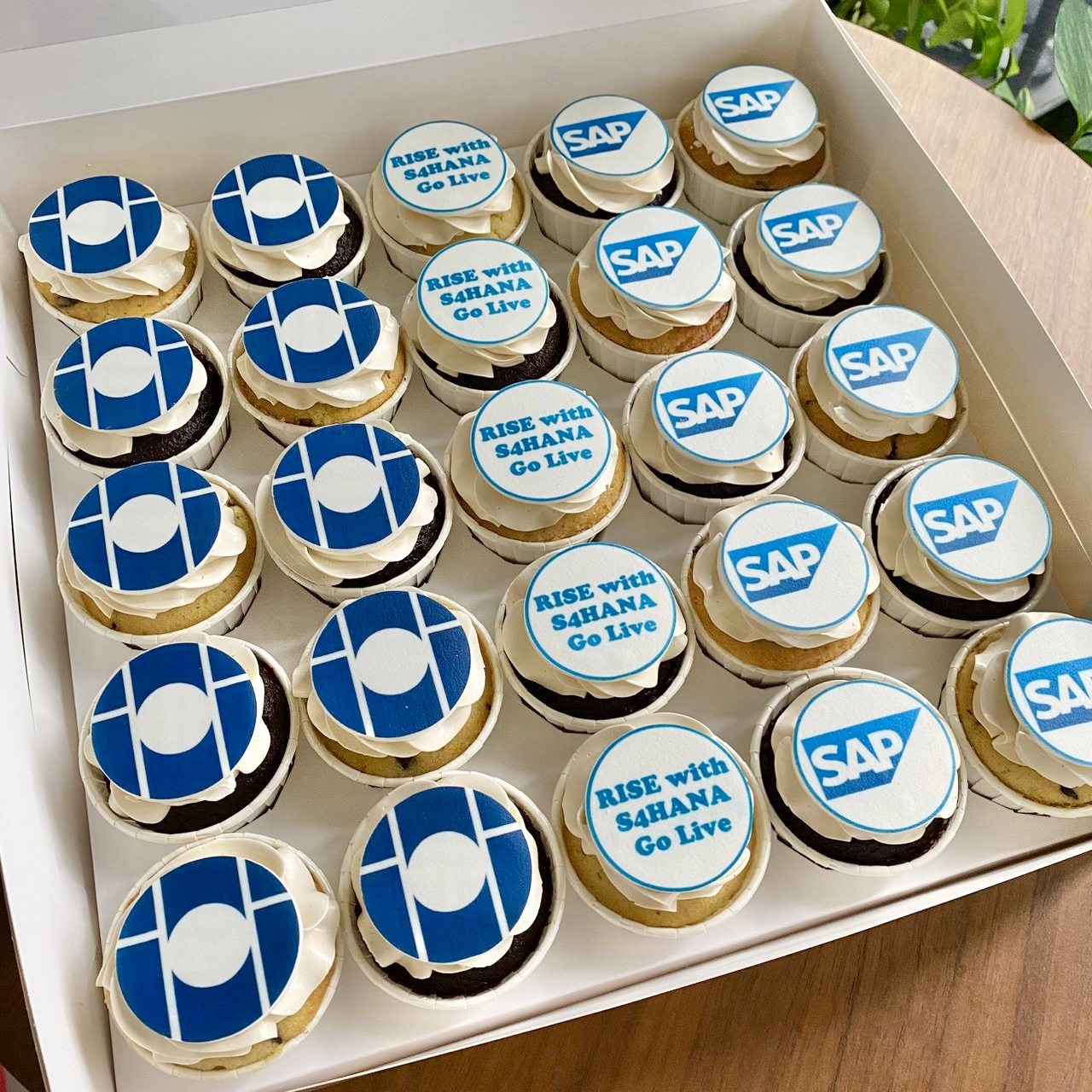 image_1904736A-BD5C-4B04-872C-8EF2FB7F4BC7_1741273577