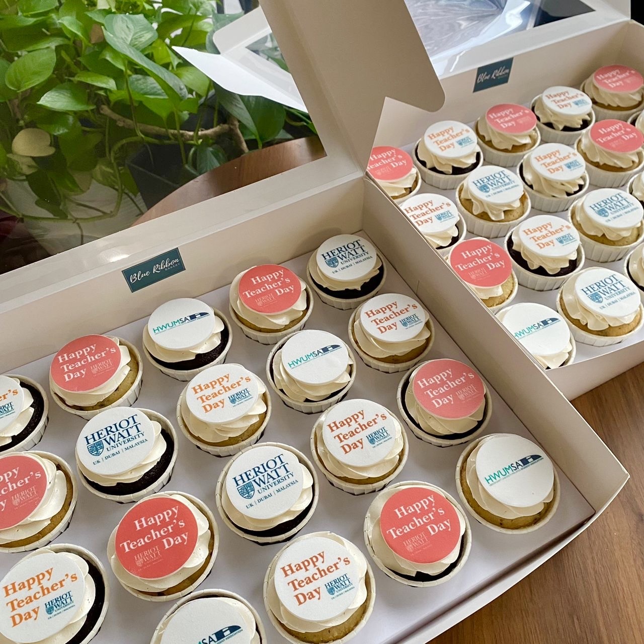 image_5C9647E7-AD90-4362-A936-005778EAF11F_1741273577