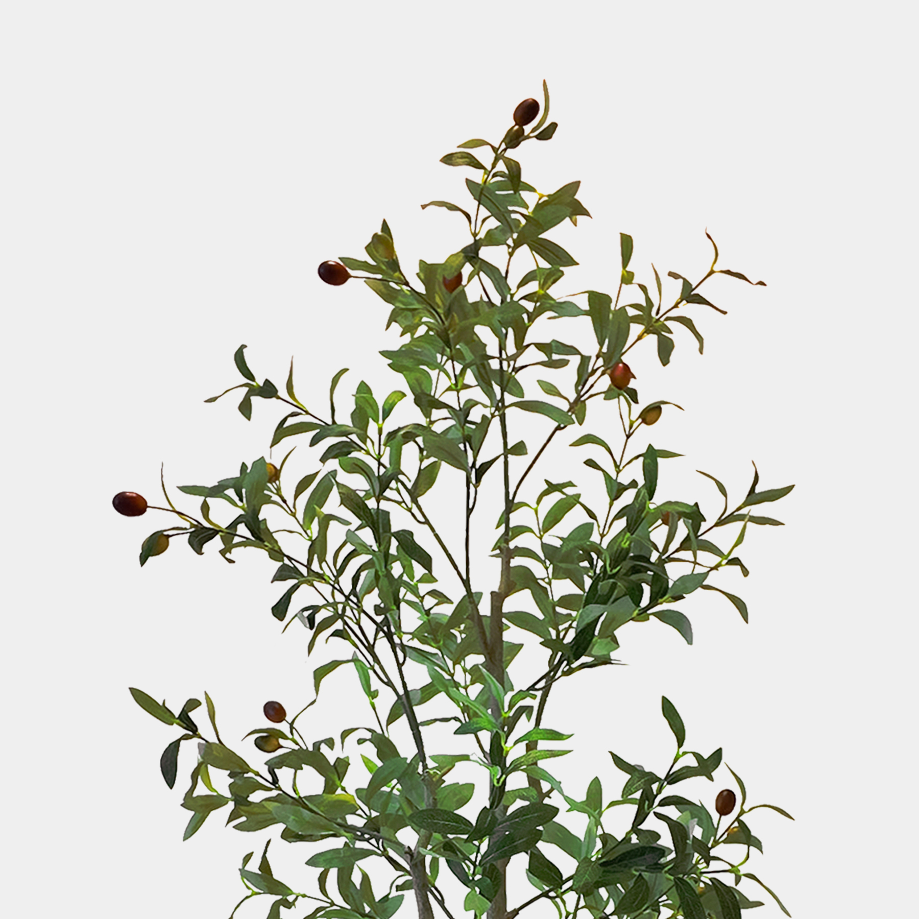icon01