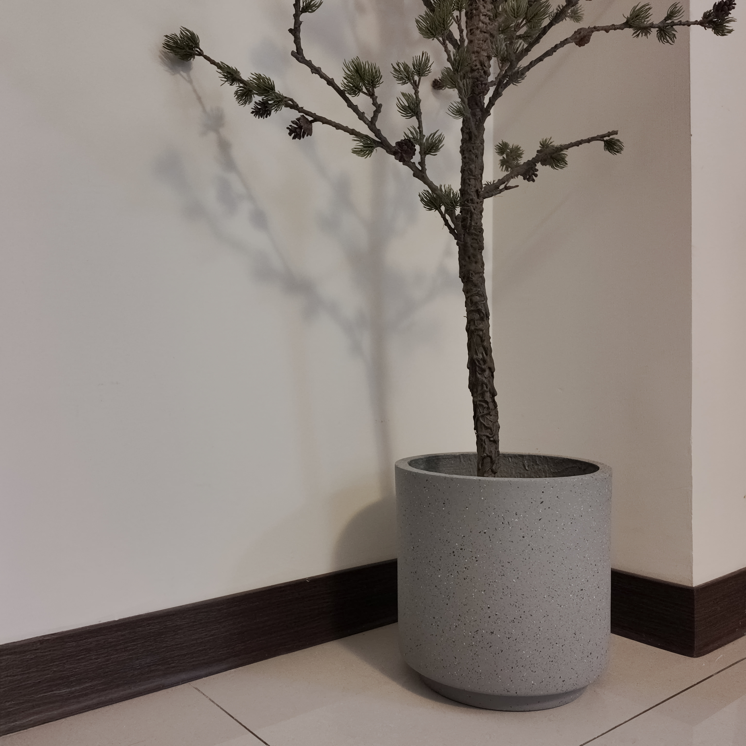 DJI_20250204141117_Edit