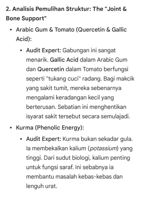 audit3