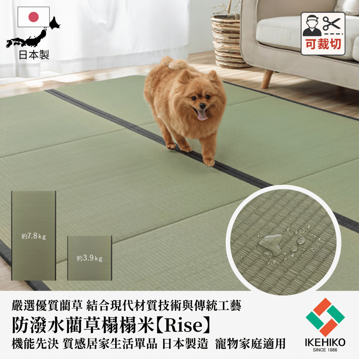 Rise 榻榻米