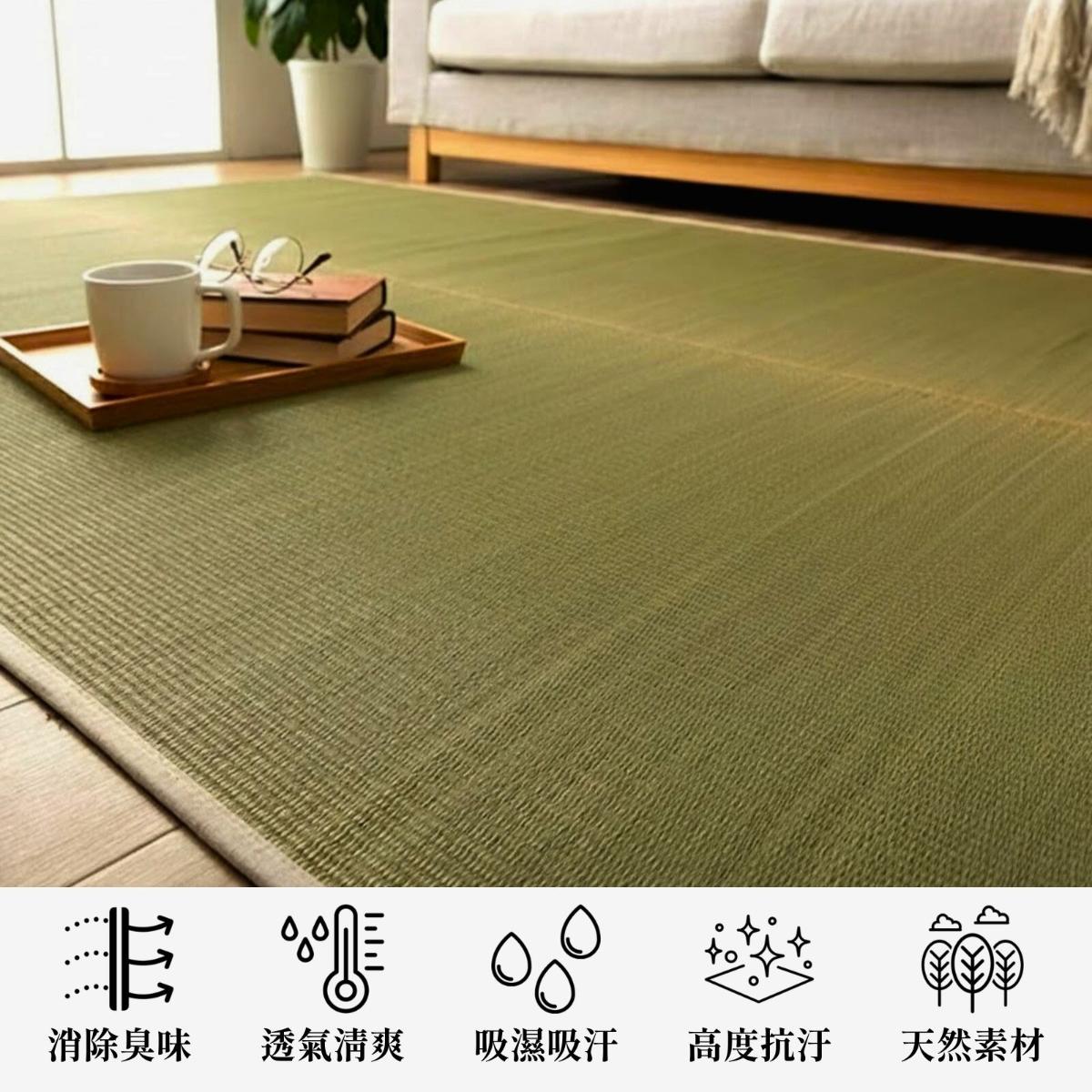 ikehiko_igusa_rug_mirai_L_ (1)