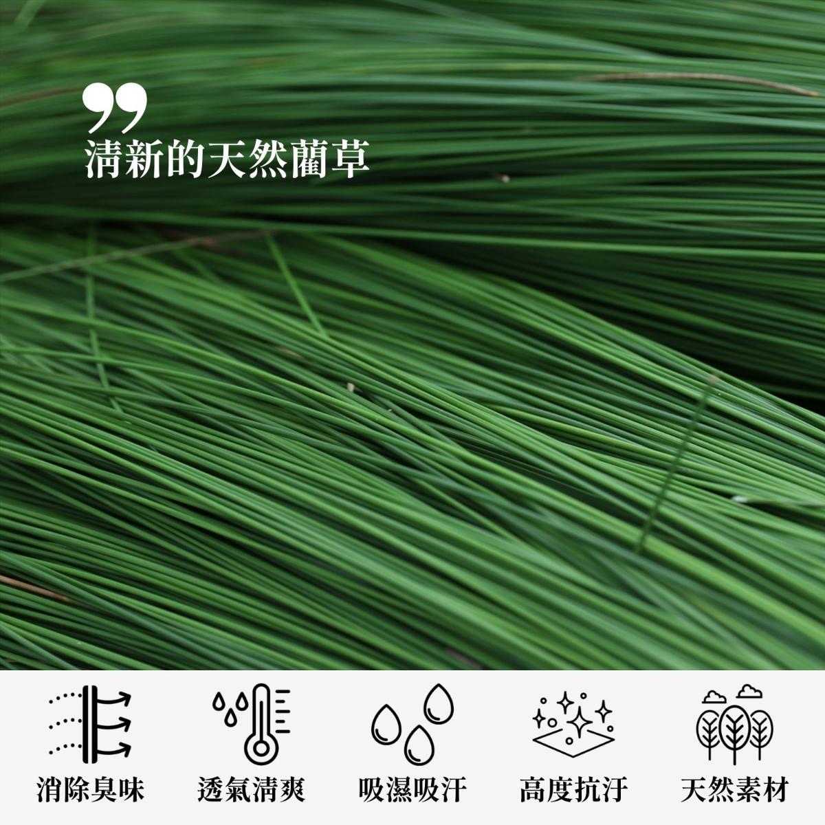 ikehiko_pillow_shigure_L_4