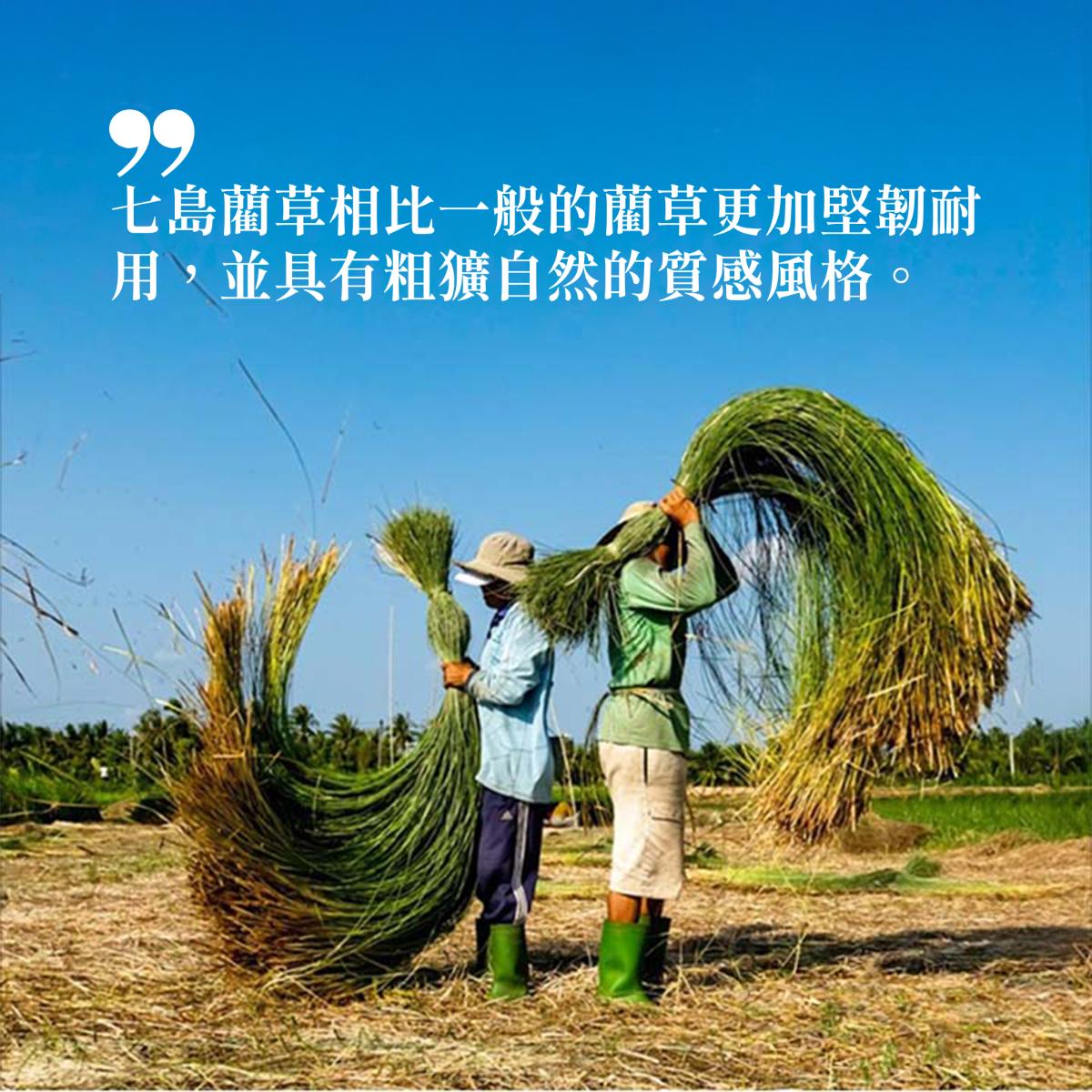 ikehiko_flipflops_luce_L_ (1)