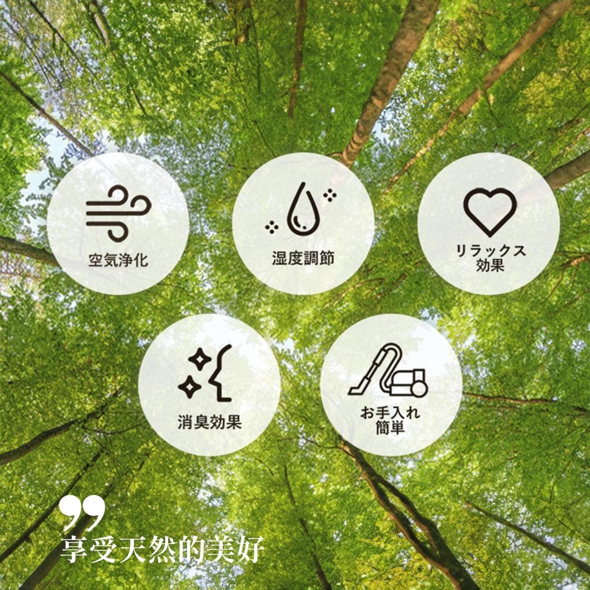 ikehiko_tatami_1.5cm_L_ (8)