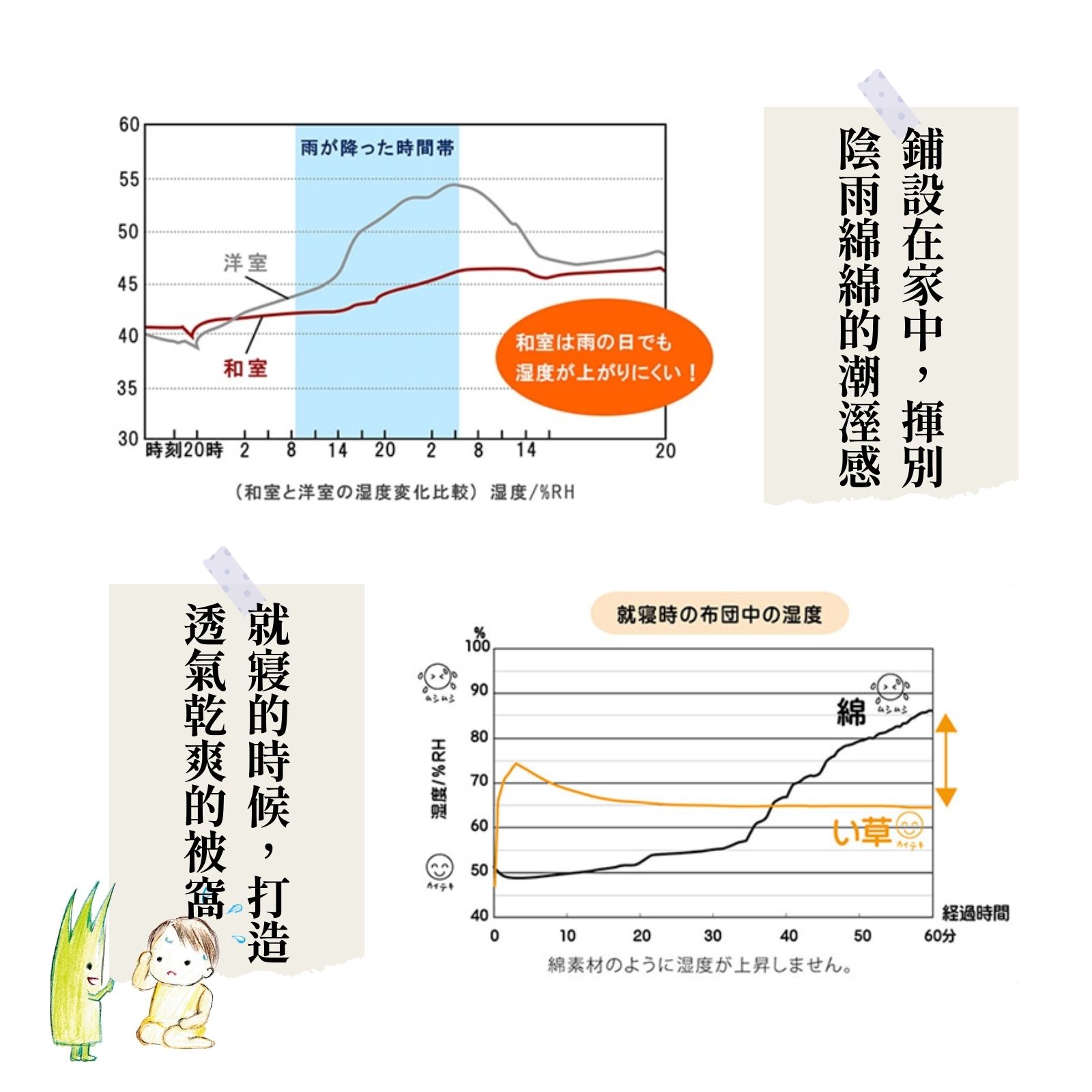 ikehiko_tatami_3cm_L_ (16)