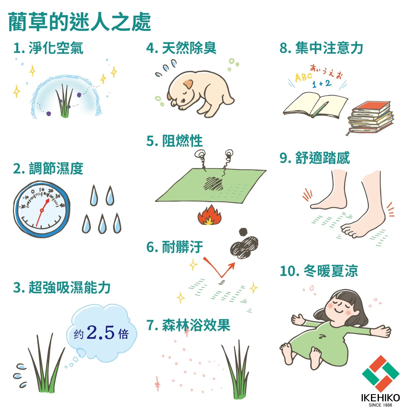 ikehiko_tatami_3cm_L_ (12)