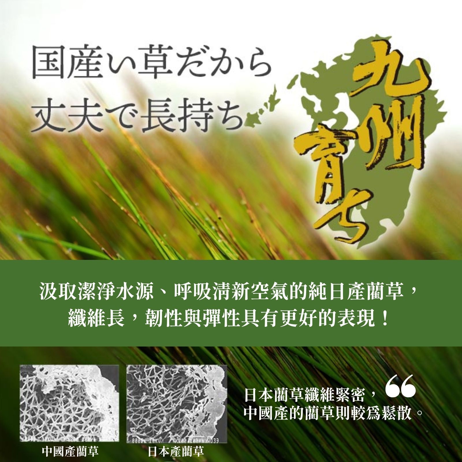 ikehiko_tatami_3cm_L_ (13)