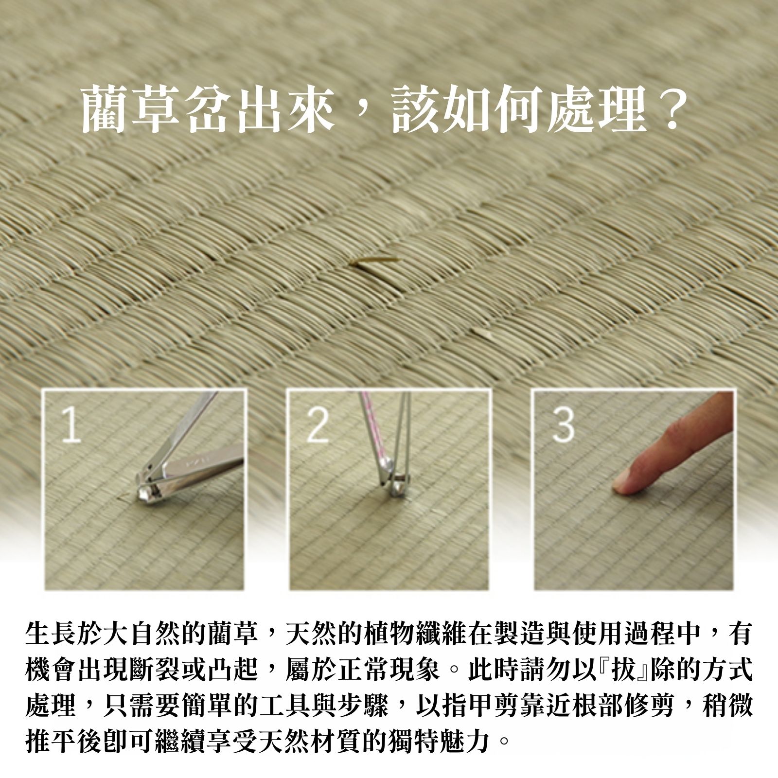 ikehiko_tatami_3cm_L_ (1)