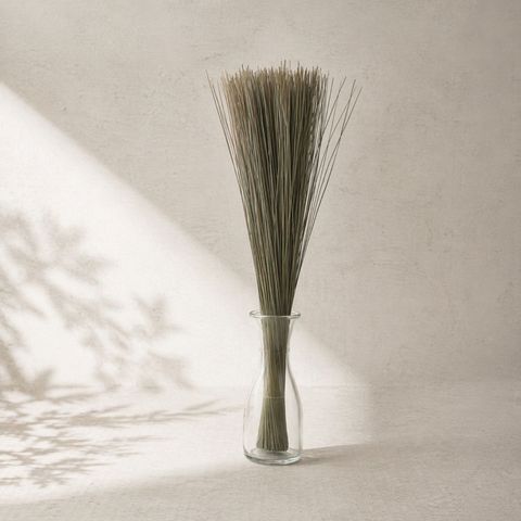 ikehiko_fra_grass_na_bus_N_ (3)