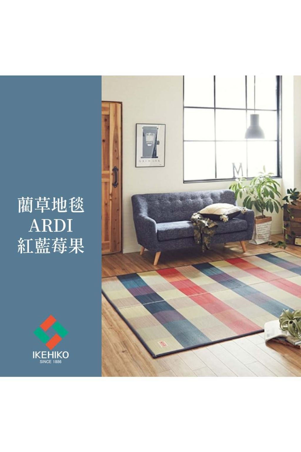 rug_ardi_10