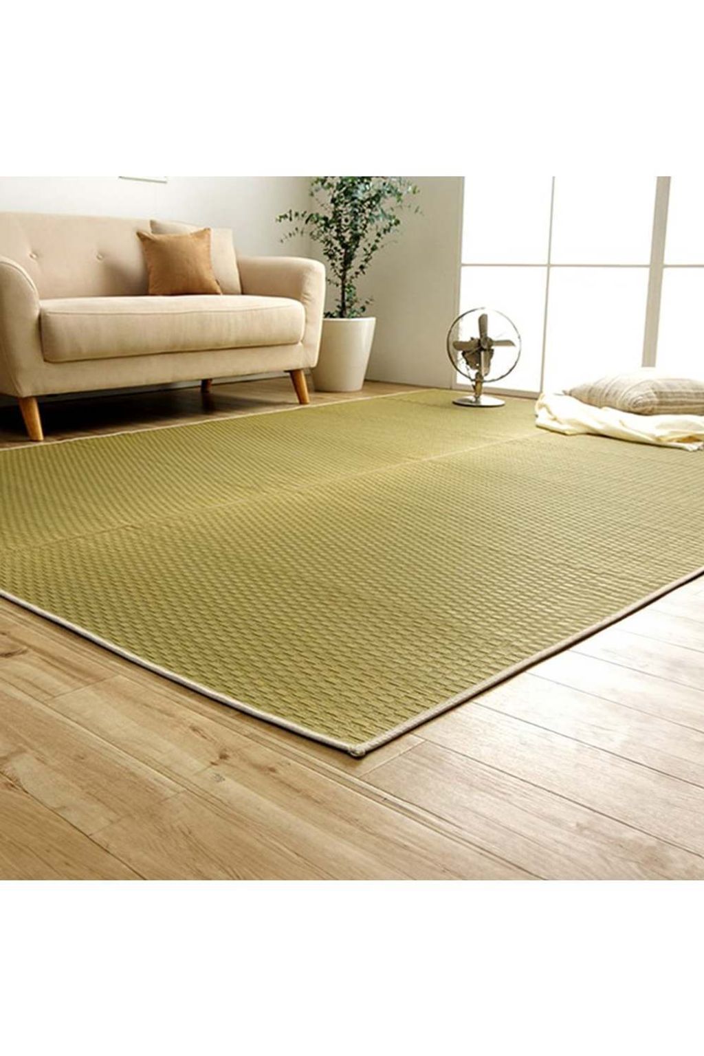 rug_ecoplain_09