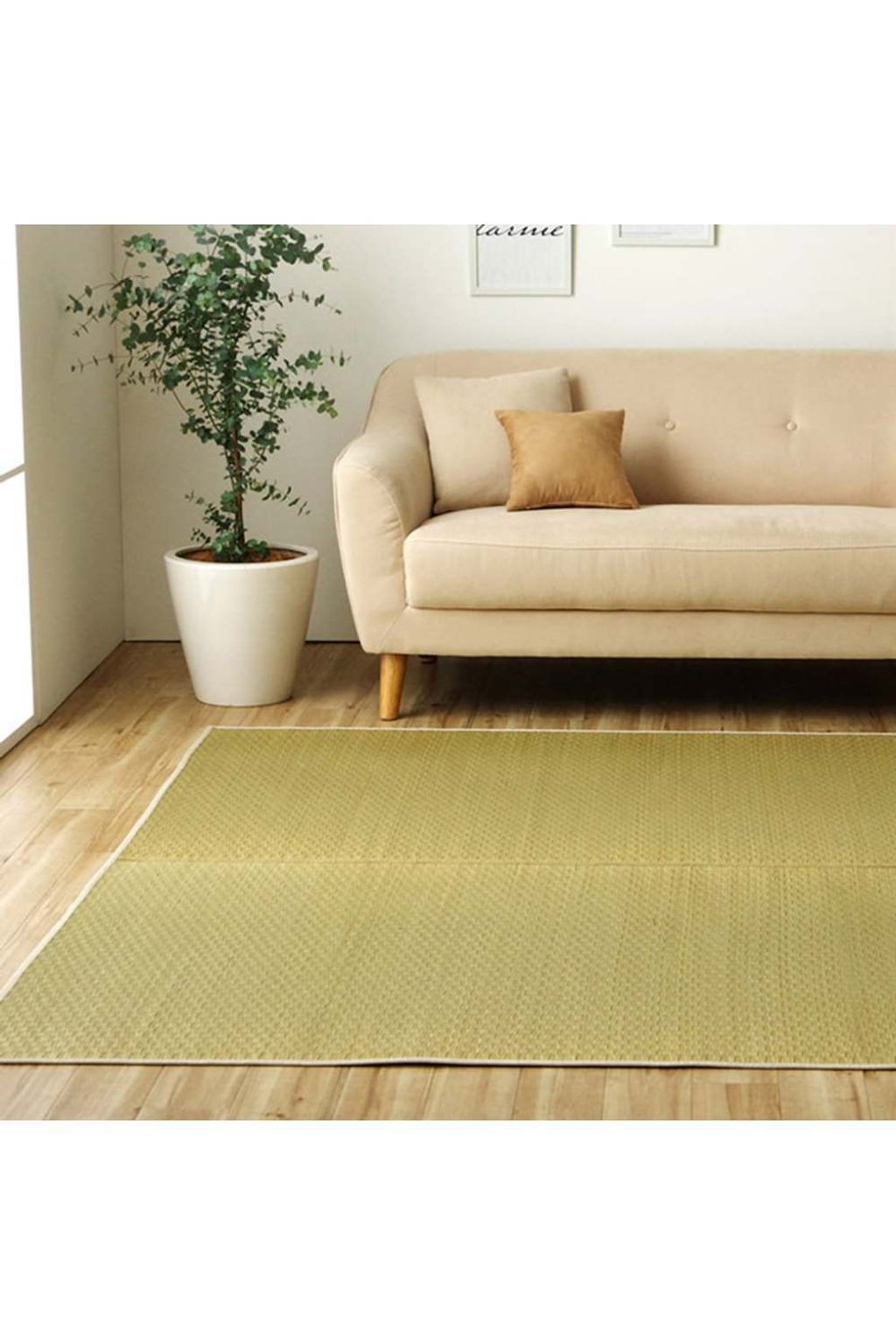 rug_ecoplain_01