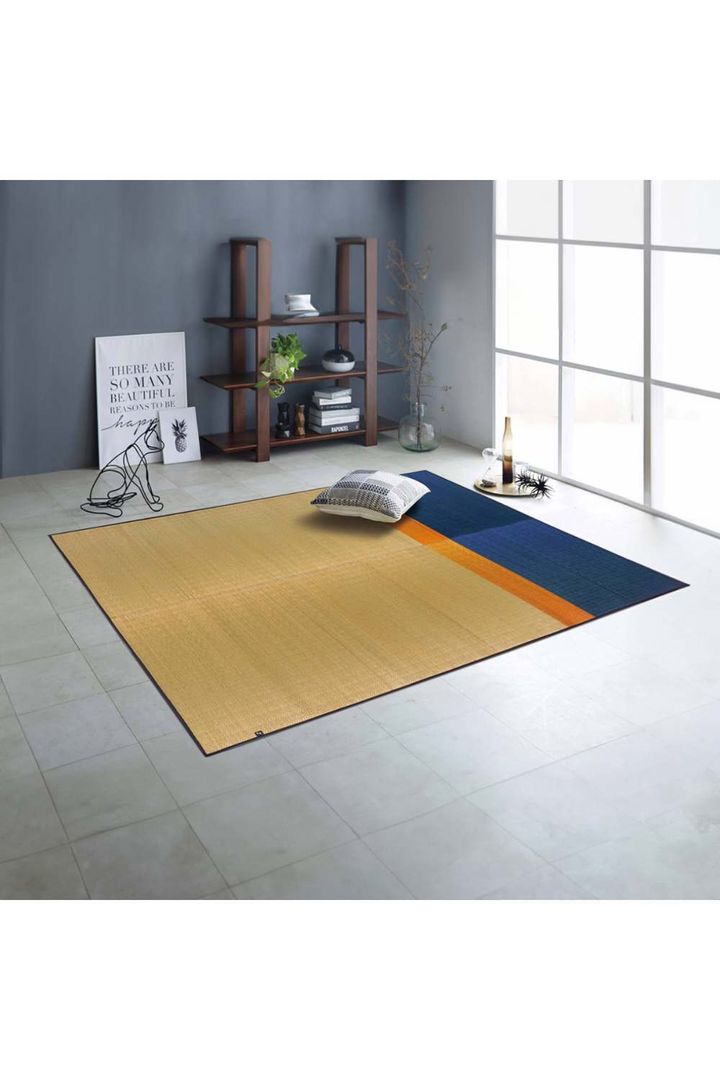 rug_bicolor_05