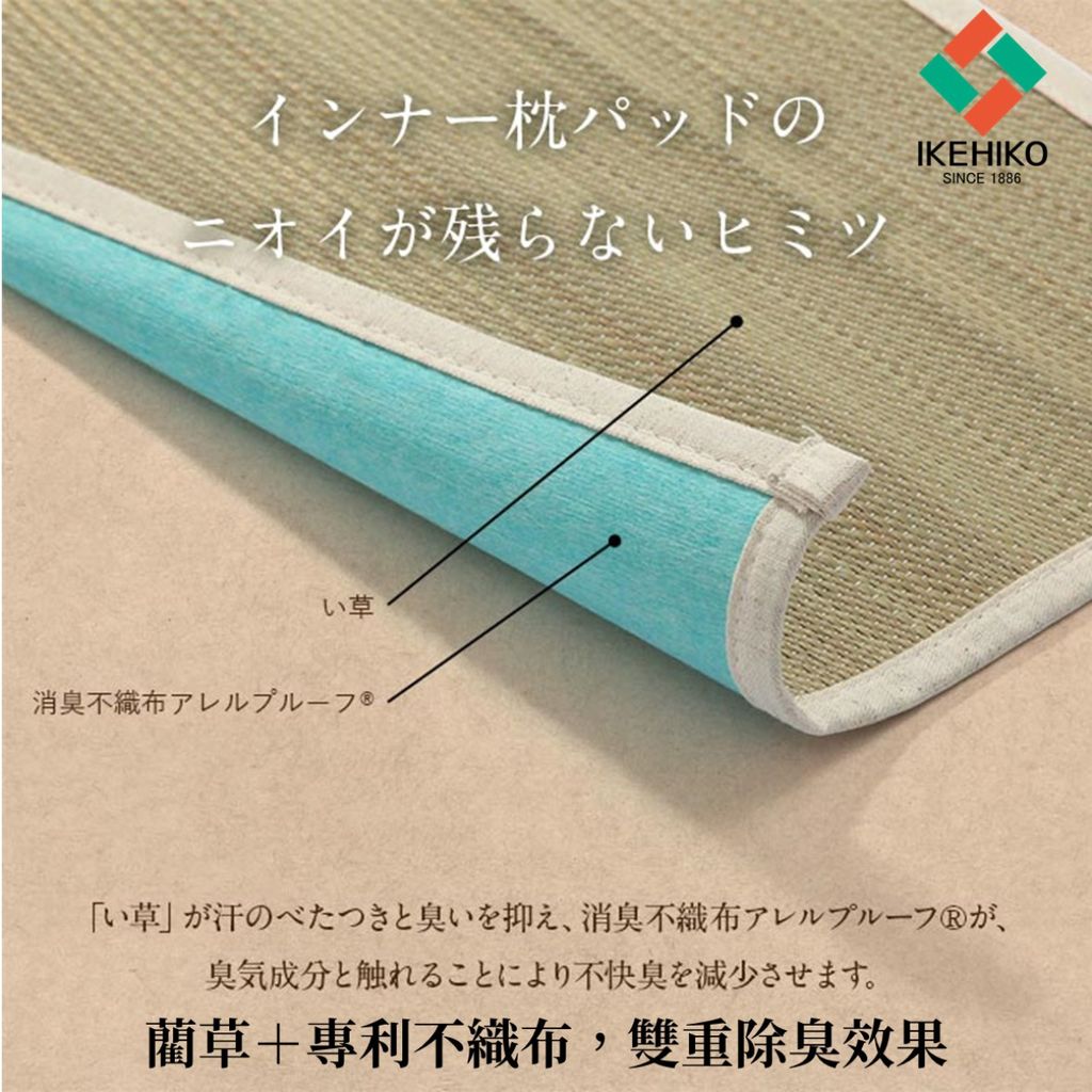 pillow_pad_12