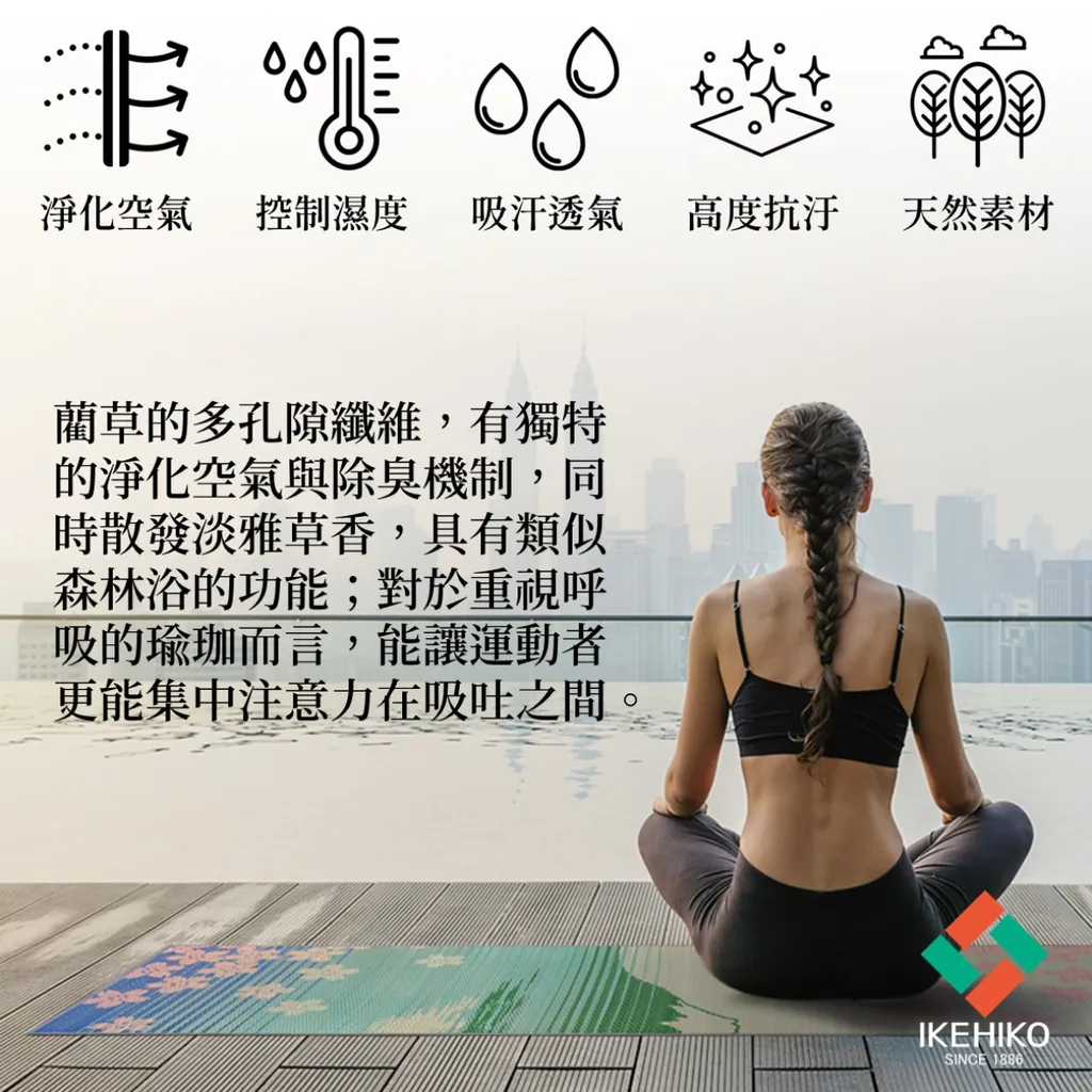 yoga_fuji_13