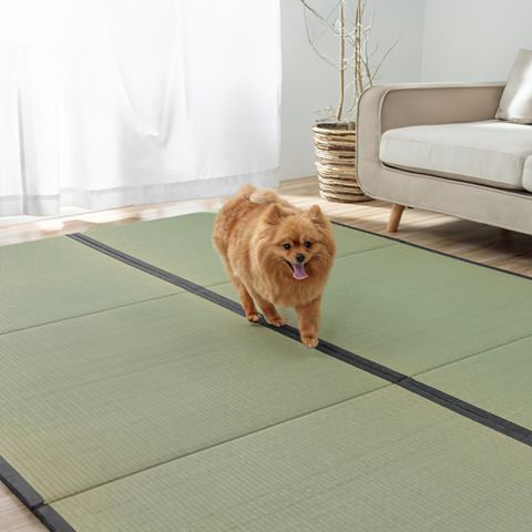 ikehiko_tatami_rise_N_003