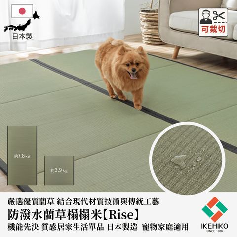 ikehiko_tatami_rise_C