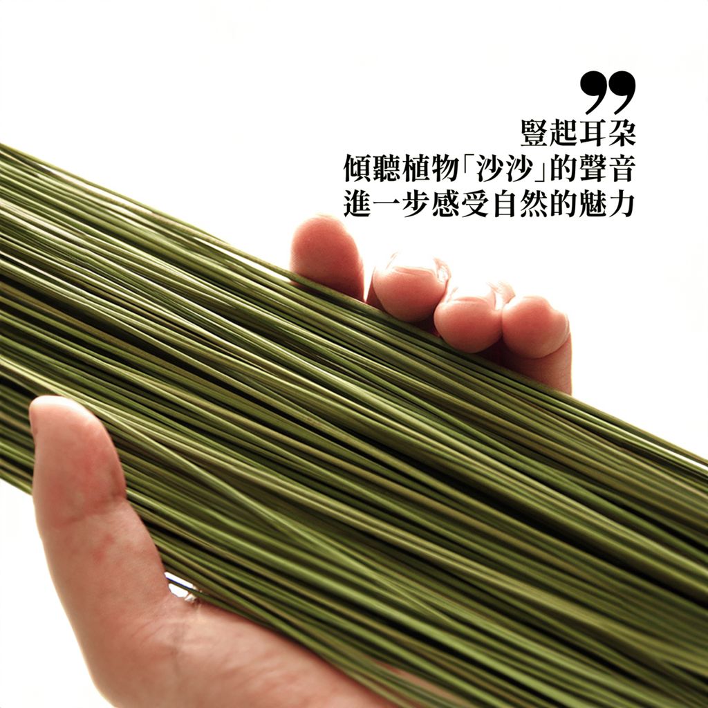 ikehiko_grass_object_L_004
