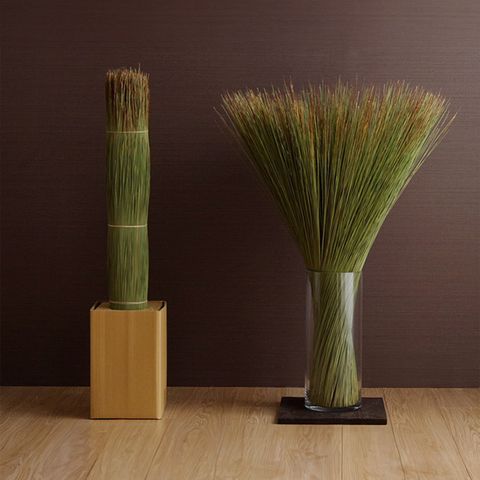 ikehiko_grass_object_N_002
