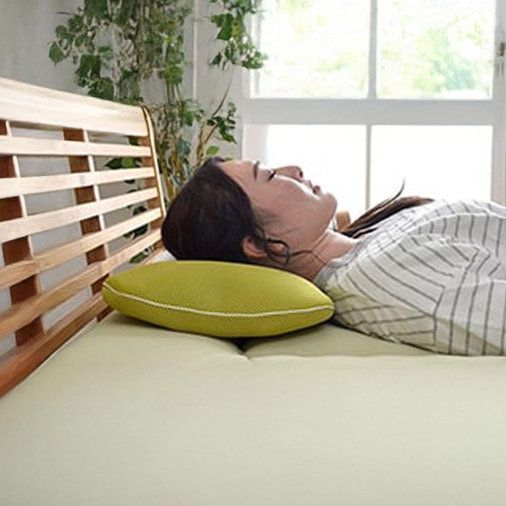 ikehiko_pillow_mori_35x50_N_ (4)